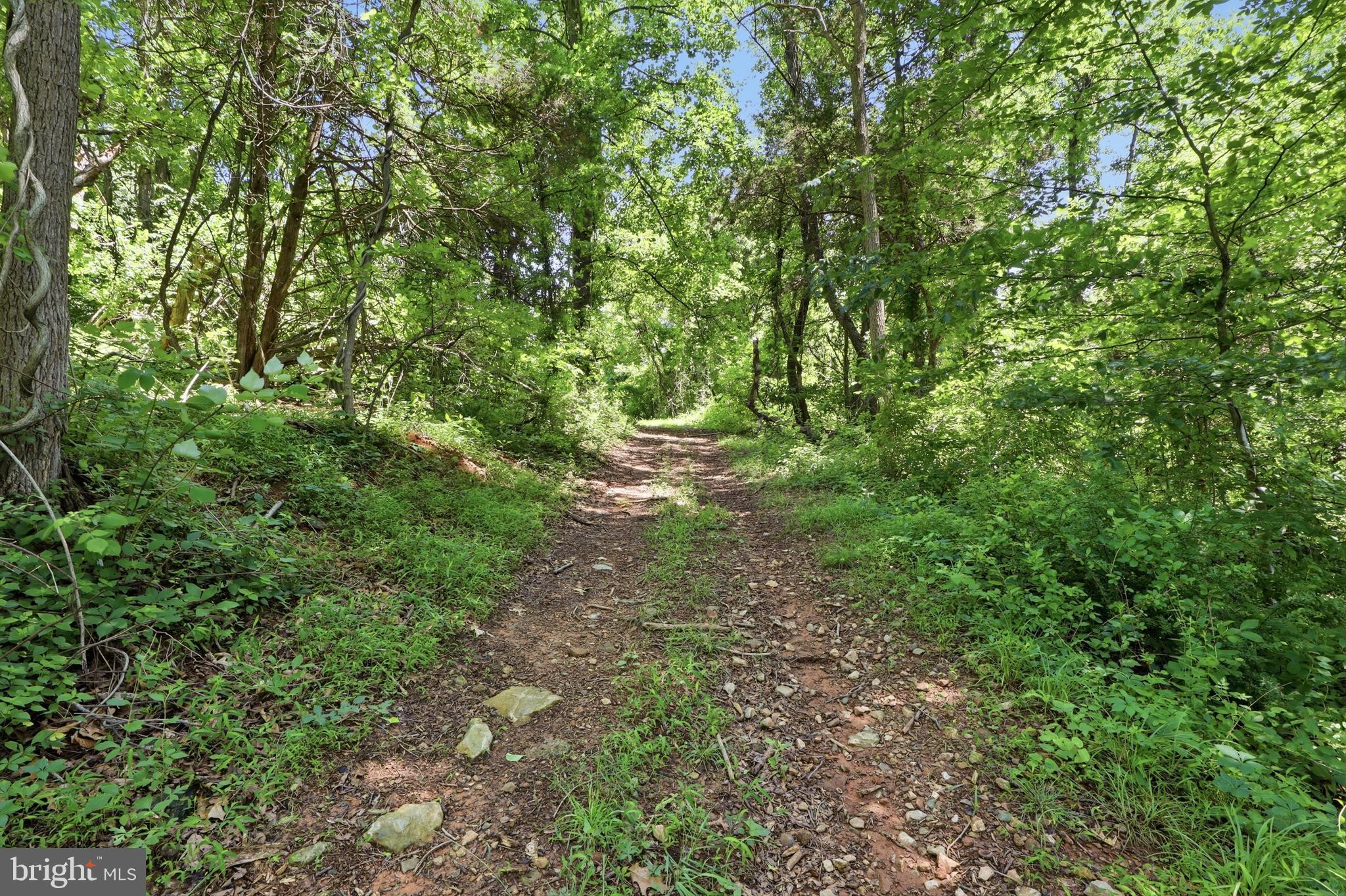 3555 Mill Green Road Street, MD 21154 - Photo 77 of 106