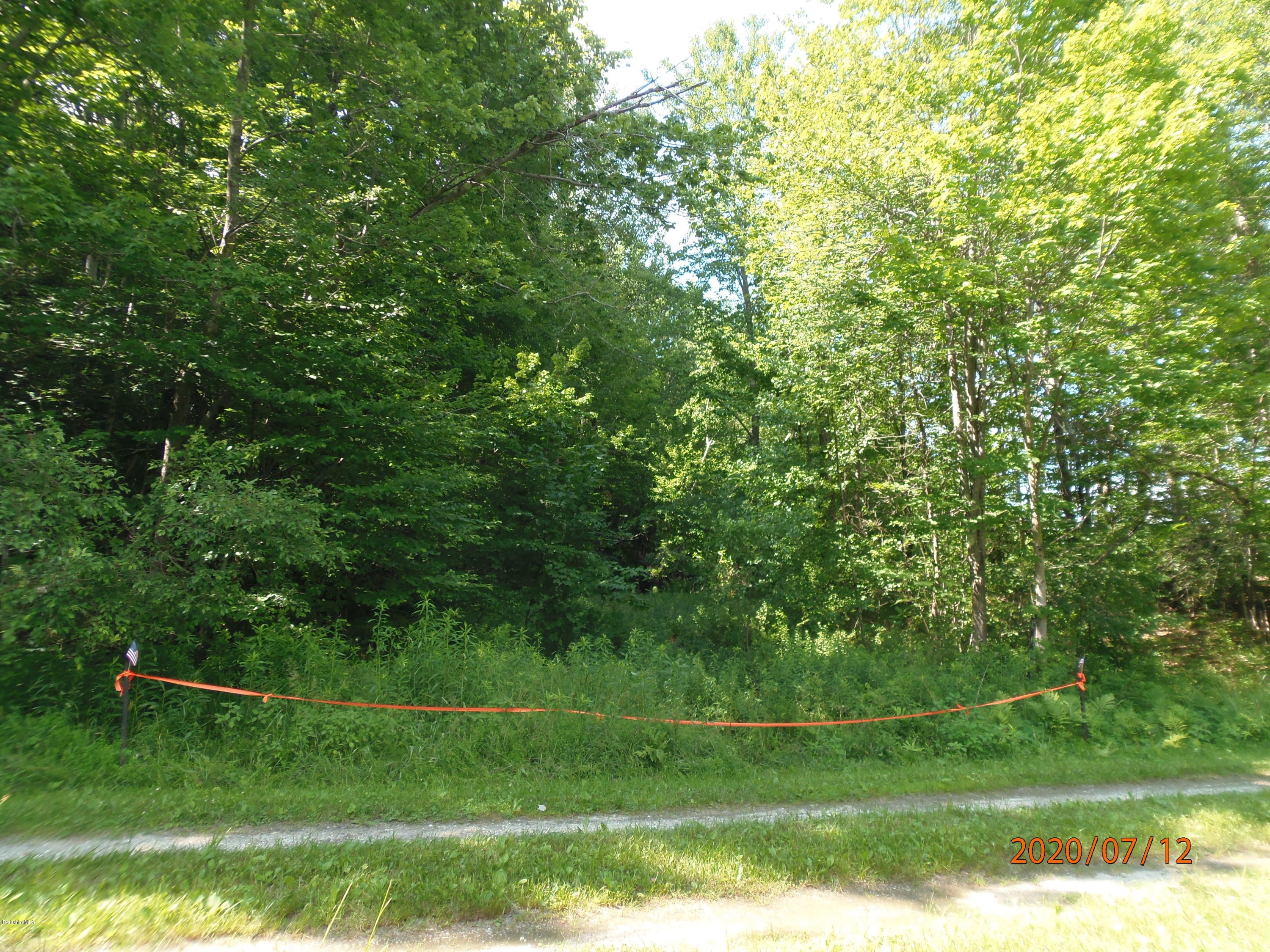 O Barnard Road Savoy, MA 01256 - Photo 4 of 5 a view of a grassy field