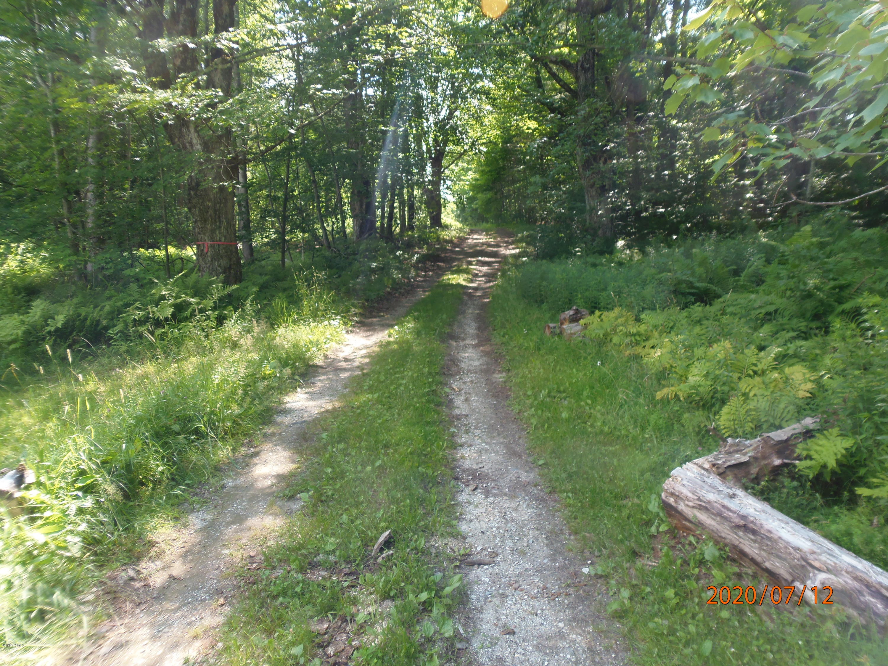 O Barnard Road Savoy, MA 01256 - Photo 5 of 5 a view of a lake with green space