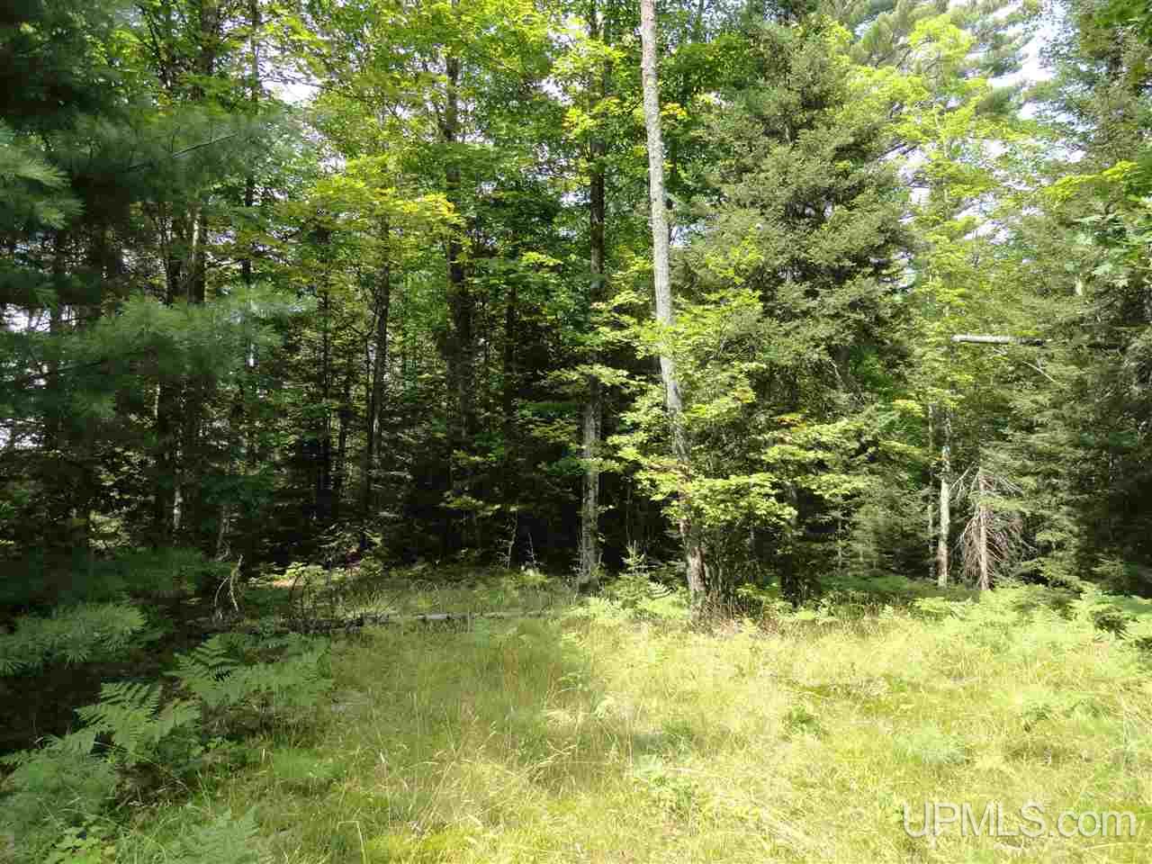 40-acres 40-acres Co Road Ishpeming, MI 49849 - Photo 34 of 36
