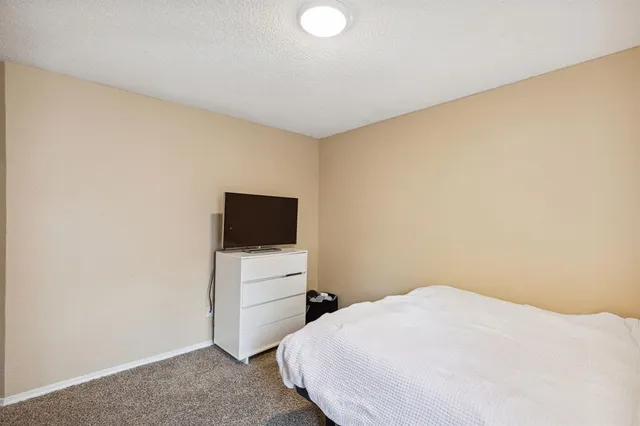 a view of a bench in a park