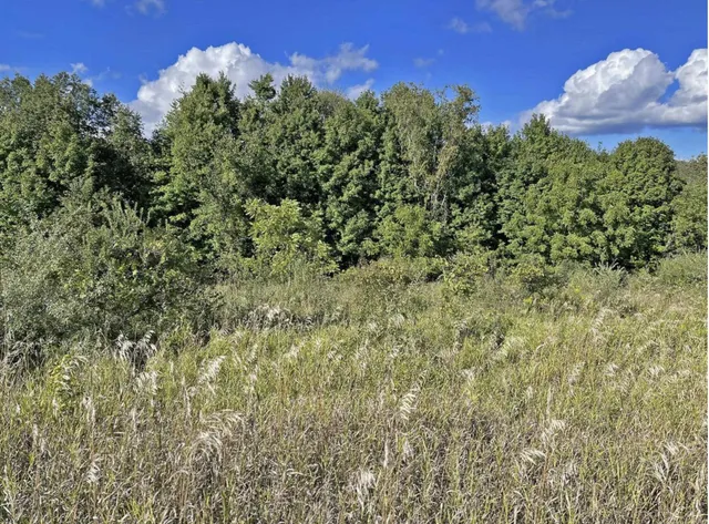 $5,000 | Lt354 Toboggan Court, La Valle, WI 53941