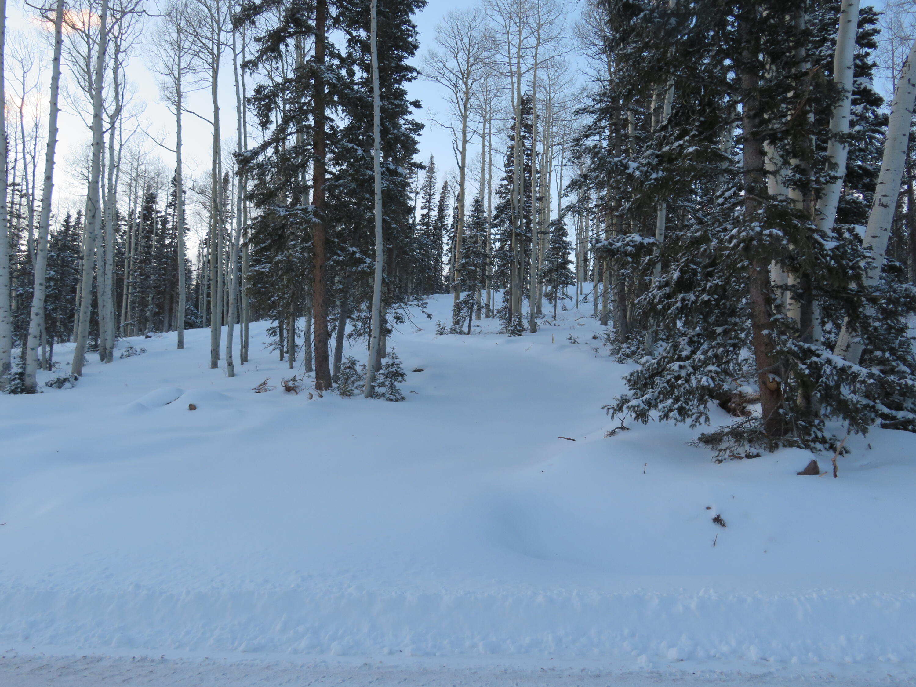 Tushar Mountain Estates, Unit 9 Beaver, UT 84713 - Photo 12 of 14 2026-01-08 18.15.13