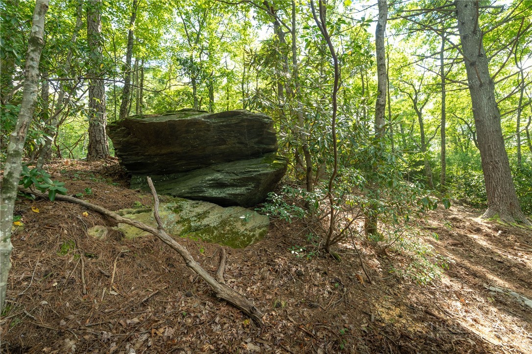 327 Lyreleaf Trail Boone, NC 28607 - Photo 5 of 50 Gallery Image 5