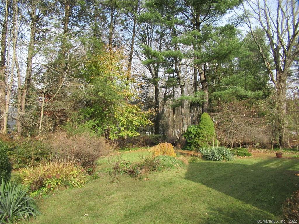 11 Burnt Swamp Road Woodbridge, CT 06525 - Photo 26 of 29 a view of a yard with trees