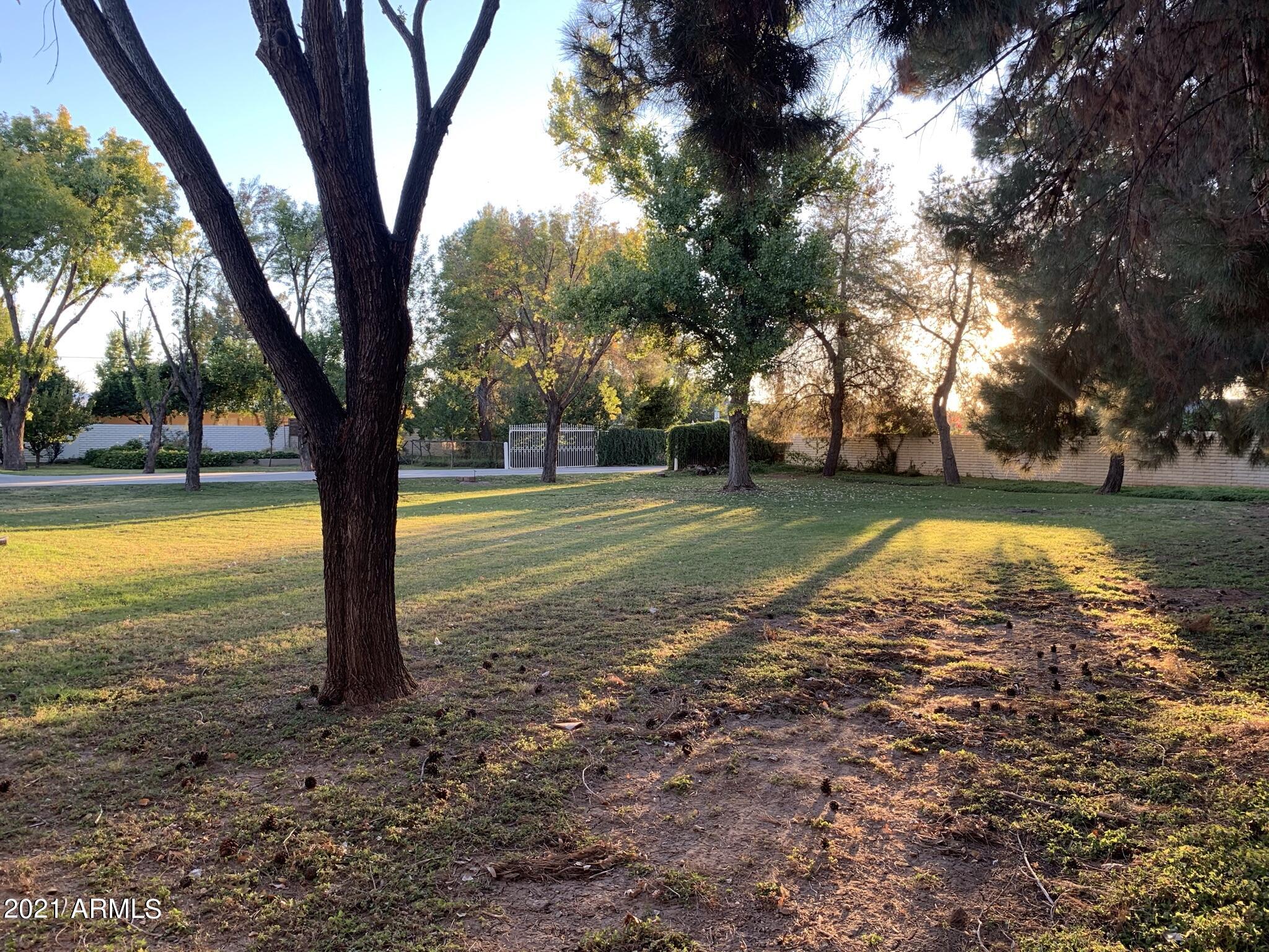 1429 North Gilbert Road Mesa, AZ 85213 - Photo 15 of 30 IMG_1329