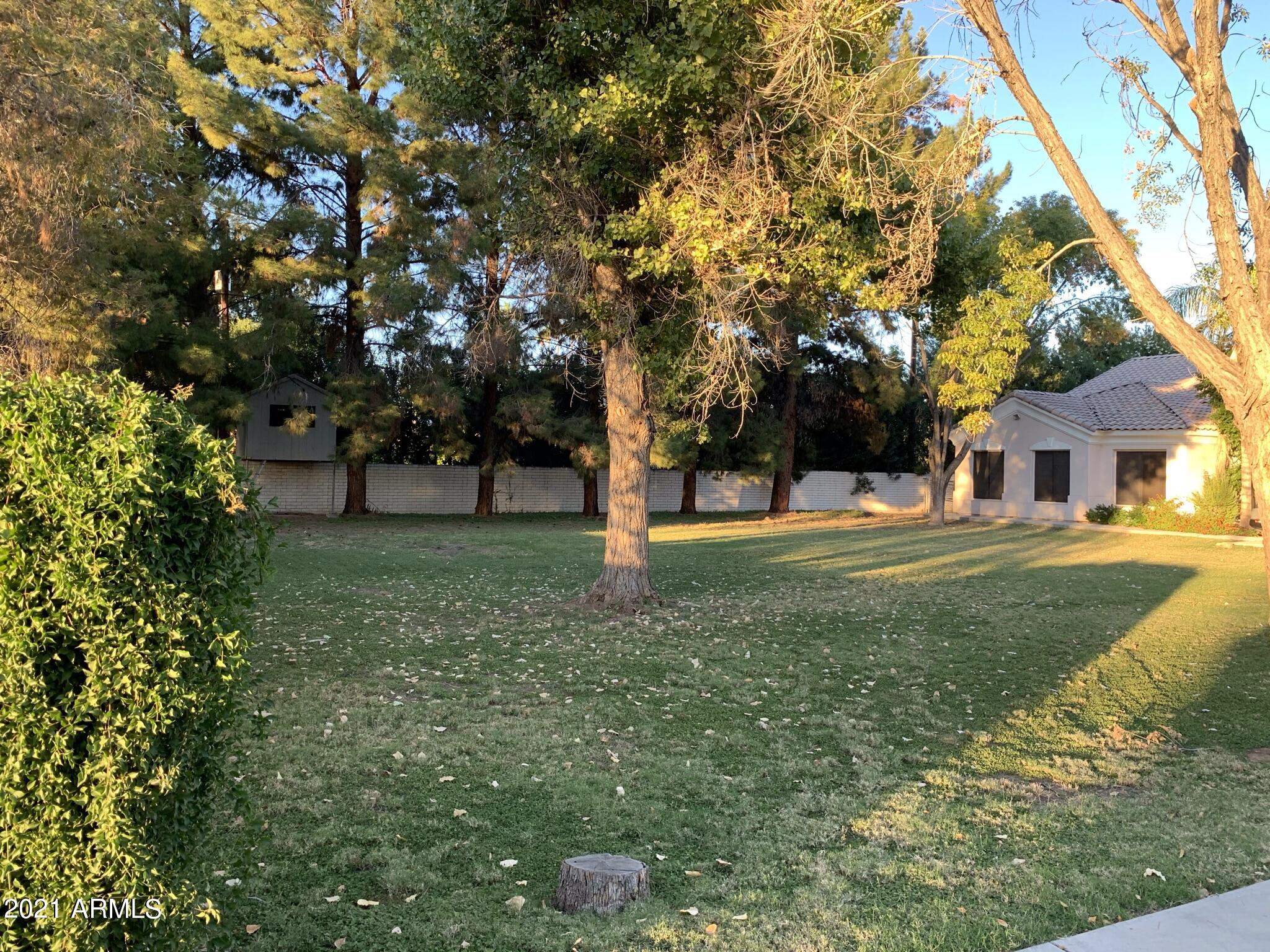 1429 North Gilbert Road Mesa, AZ 85213 - Photo 19 of 30 IMG_1337