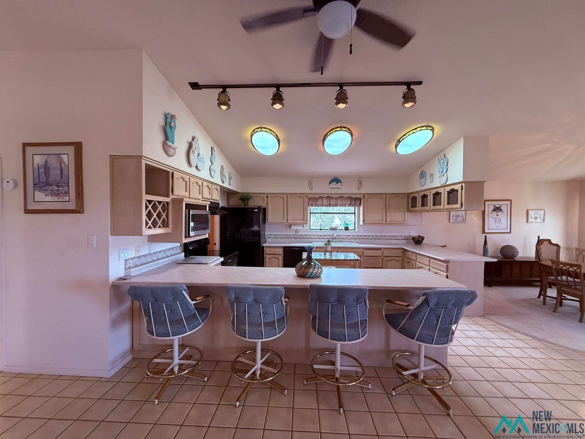 300 Rio Grande Circle Elephant Butte, NM 87935 - Photo 46 of 99 Gallery Image 46