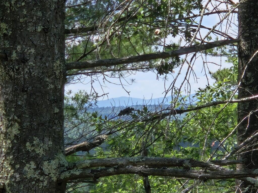 Multiple Quaker Ridge Road Leeds, ME 04263 - Photo 6 of 79 20260624_133825
