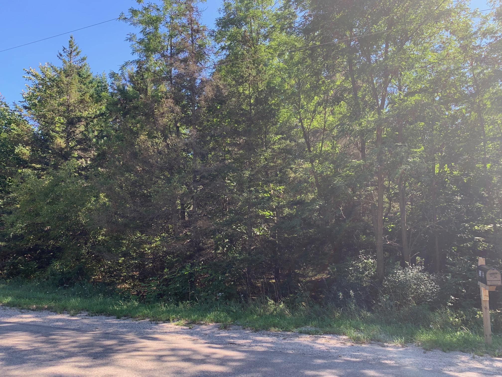 0 South Maple City Road Traverse City, MI 49684 - Photo 15 of 22