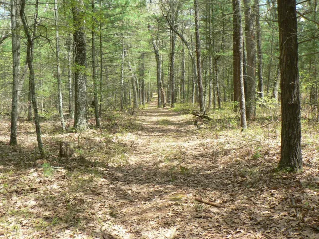 $69,500 | 7901 South Potawatomi, Unit 56, Newaygo, MI 49337