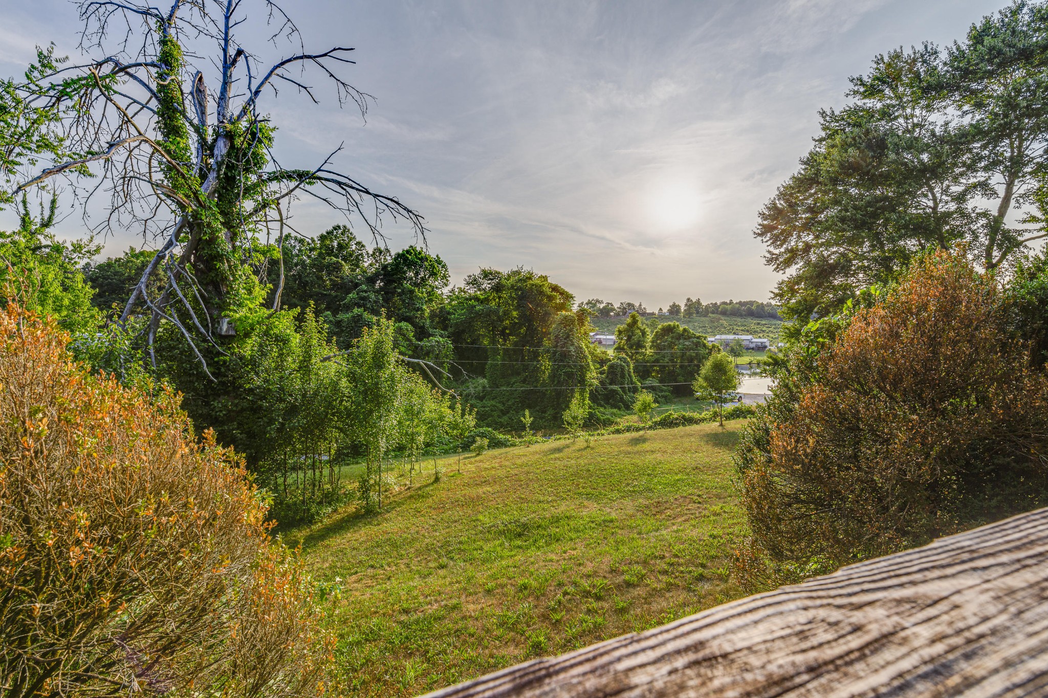 1441 Paint Rock Ferry Road Kingston, TN 37763 - Photo 11 of 13