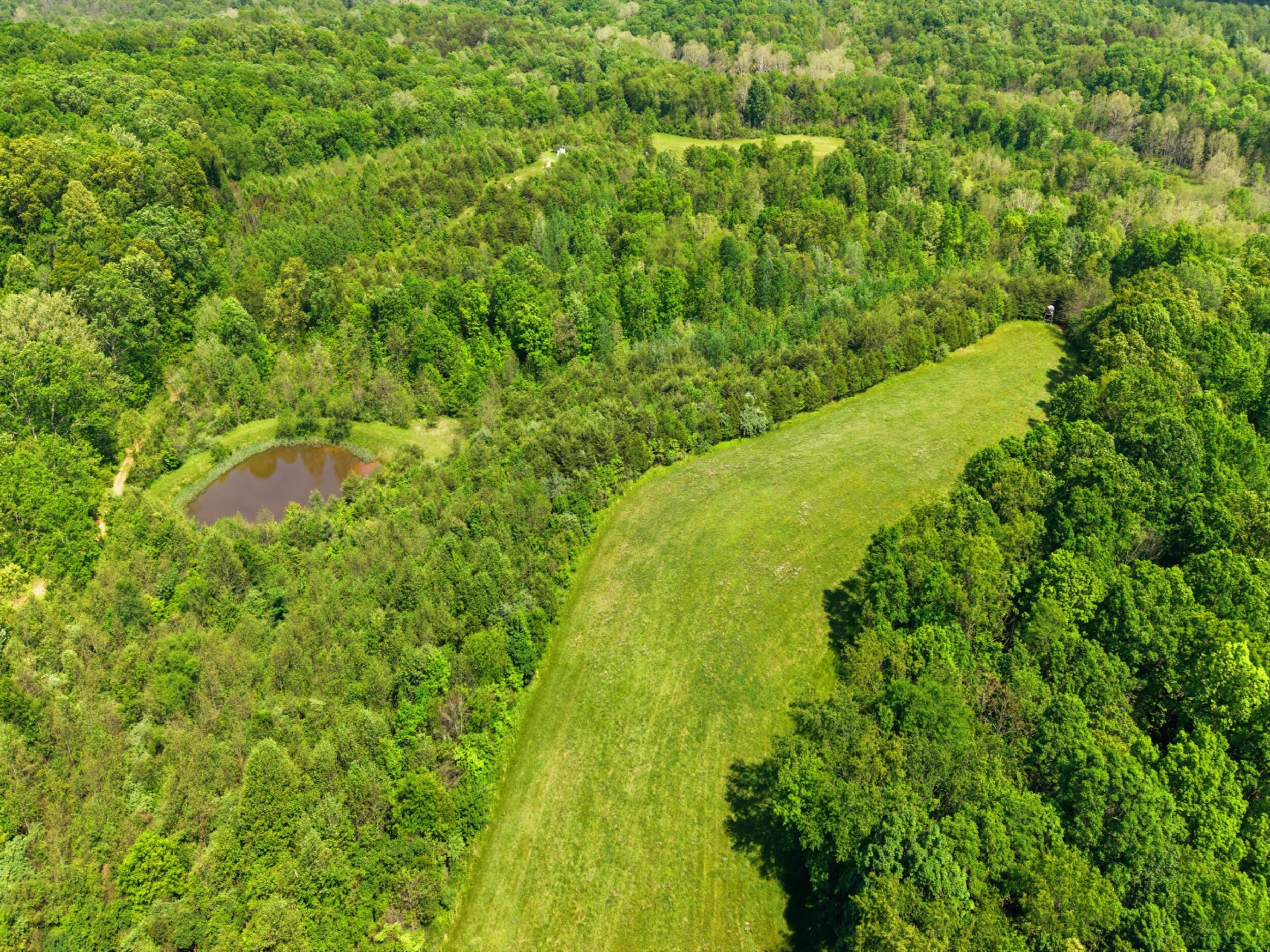 870 Rubrake Road Fleming, OH 45729 - Photo 45 of 49 #47