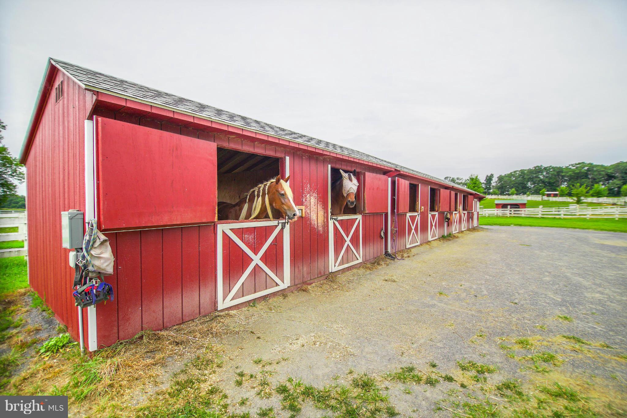 8025 Damascus Road Gaithersburg, MD 20882 - Photo 23 of 30 Shed row barns