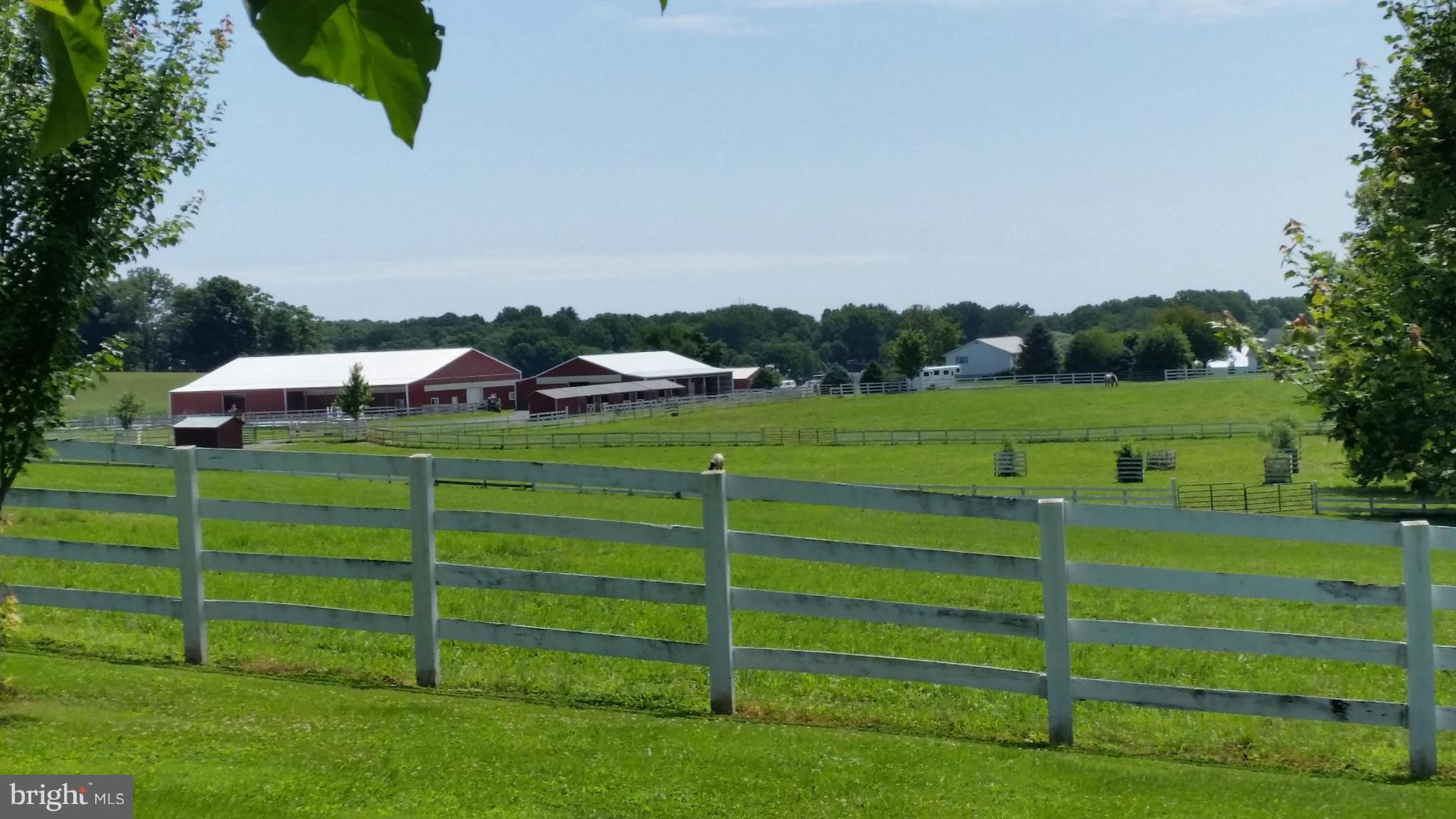 8025 Damascus Road Gaithersburg, MD 20882 - Photo 29 of 30 Beautiful Horse Farm near Damascus