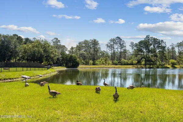 $2,950 | 12677 Pine Marsh Way, Jacksonville, FL 32226