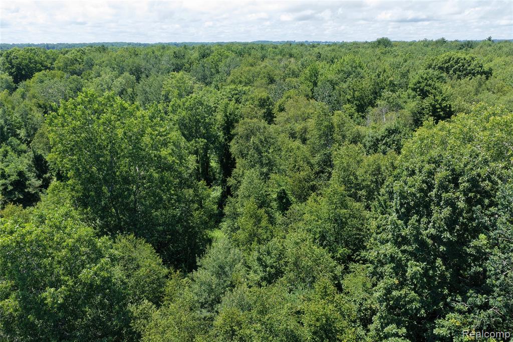 2898 Lakeshore Road Applegate, MI 48401 - Photo 16 of 19 Gallery Image 16