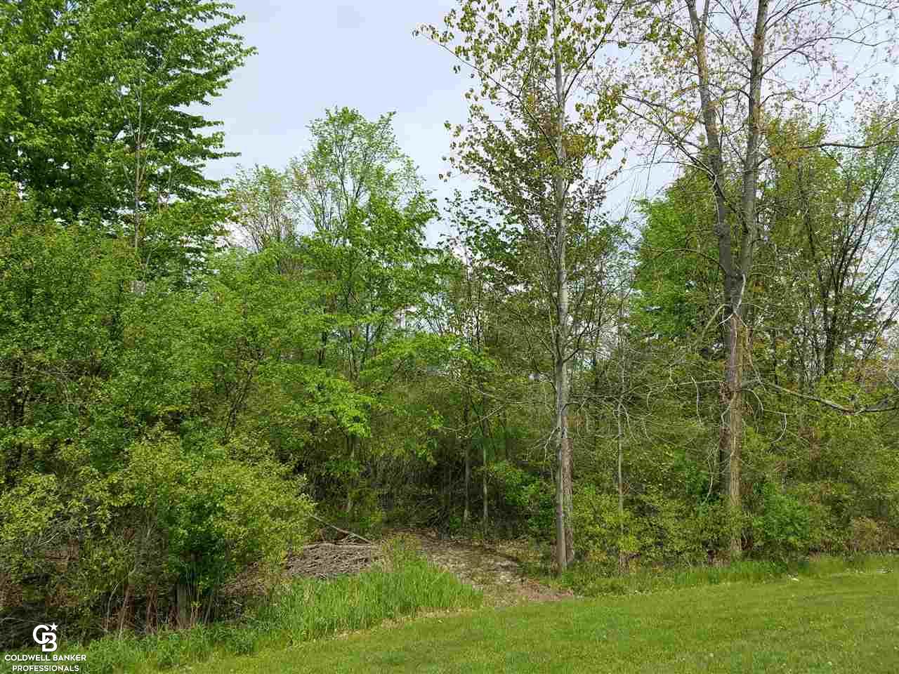 9100 Brandon Road Avoca, MI 48006 - Photo 20 of 21 This is a view of the woods.