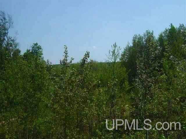 Tbd Menge Creek Road Lanse, MI 49908 - Photo 5 of 9