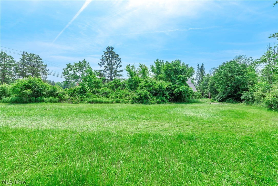 9990 Broadview Road Broadview Heights, OH 44147 - Photo 44 of 47 View of yard