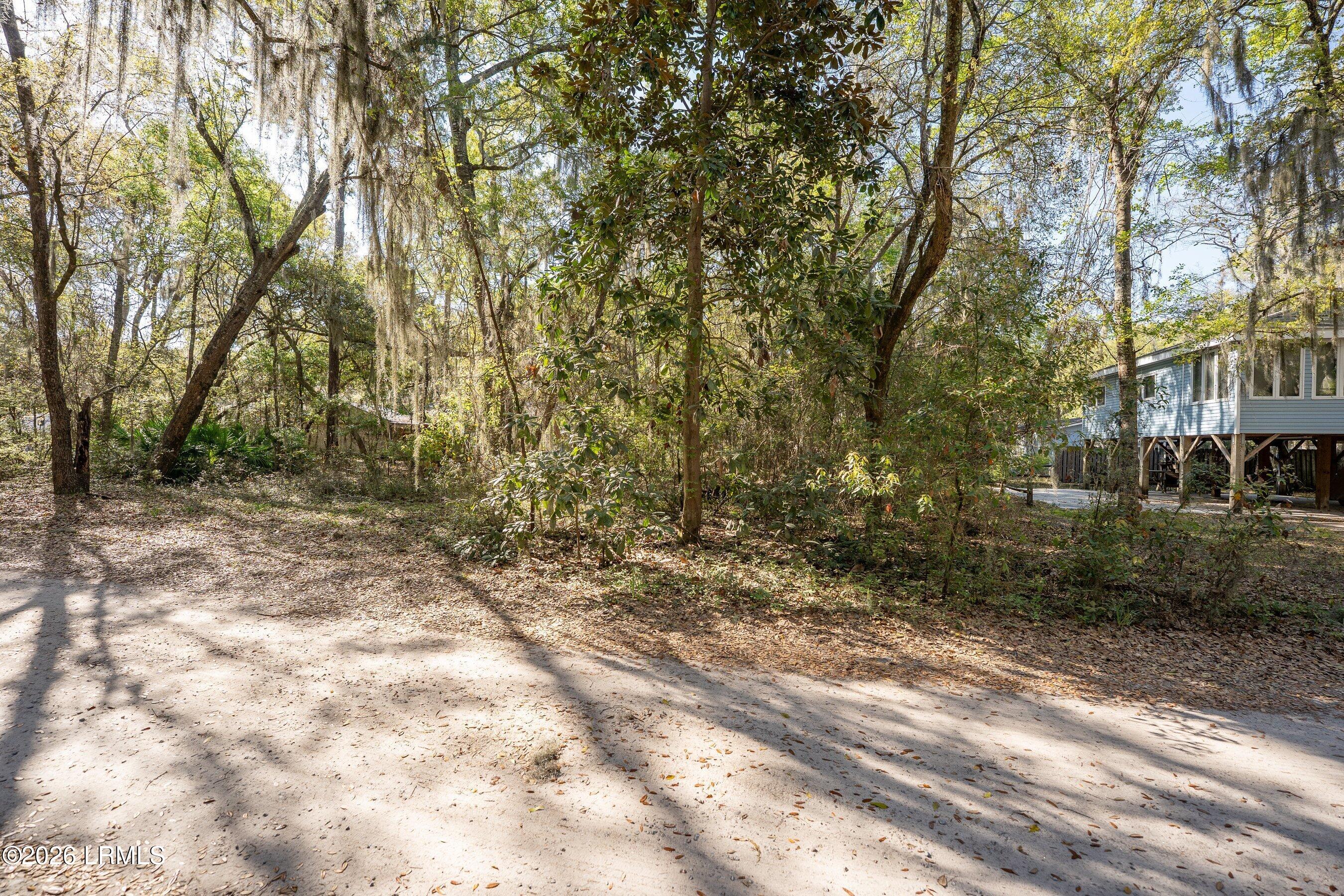 17 Triangle Road St. Helena Island, SC 29920 - Photo 9 of 17 DSC02262-3.jpg-SMALL