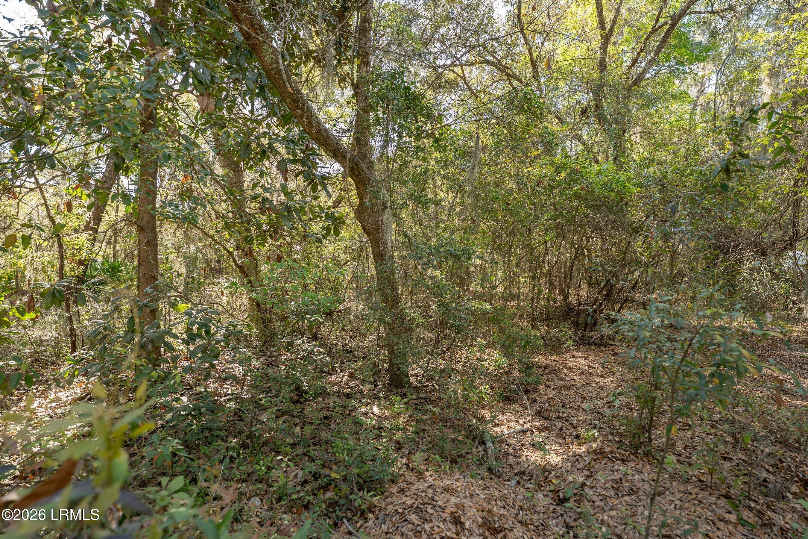 17 Triangle Road St. Helena Island, SC 29920 - Photo 10 of 17 DSC02263-4.jpg-SMALL