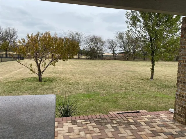 a view of a yard with trees