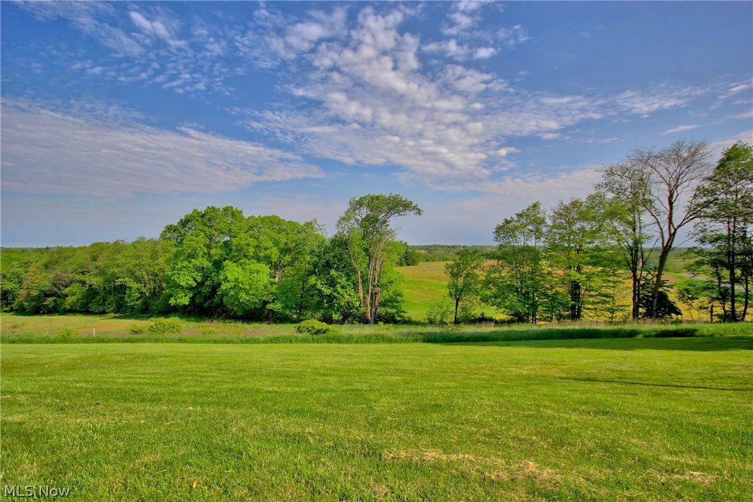 8555 Stump Road Minerva, OH 44657 - Photo 3 of 33 Gallery Image 3
