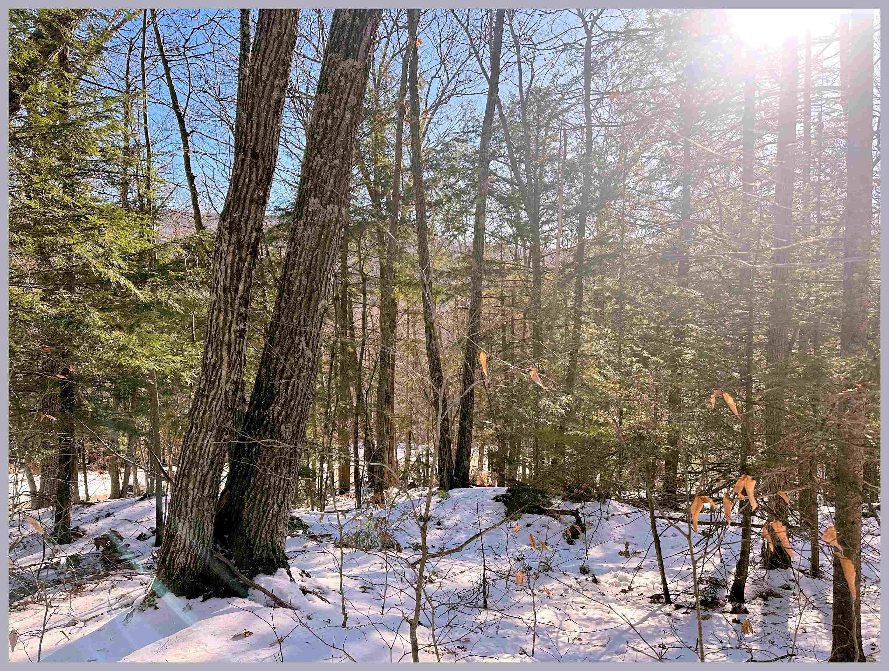 Lot 30 Bell Valley Road Campton, NH 03223 - Photo 2 of 29