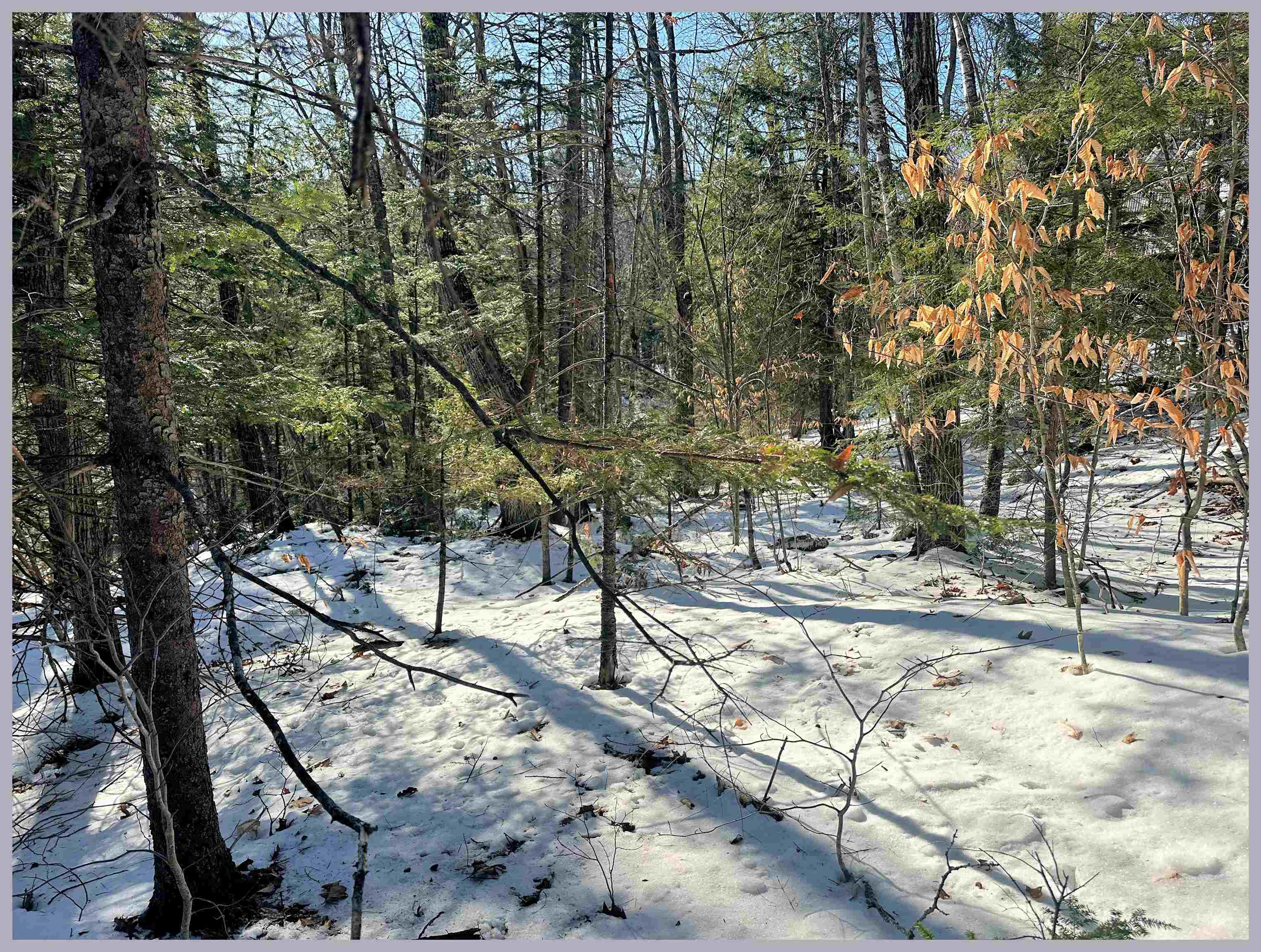 Lot 30 Bell Valley Road Campton, NH 03223 - Photo 26 of 29