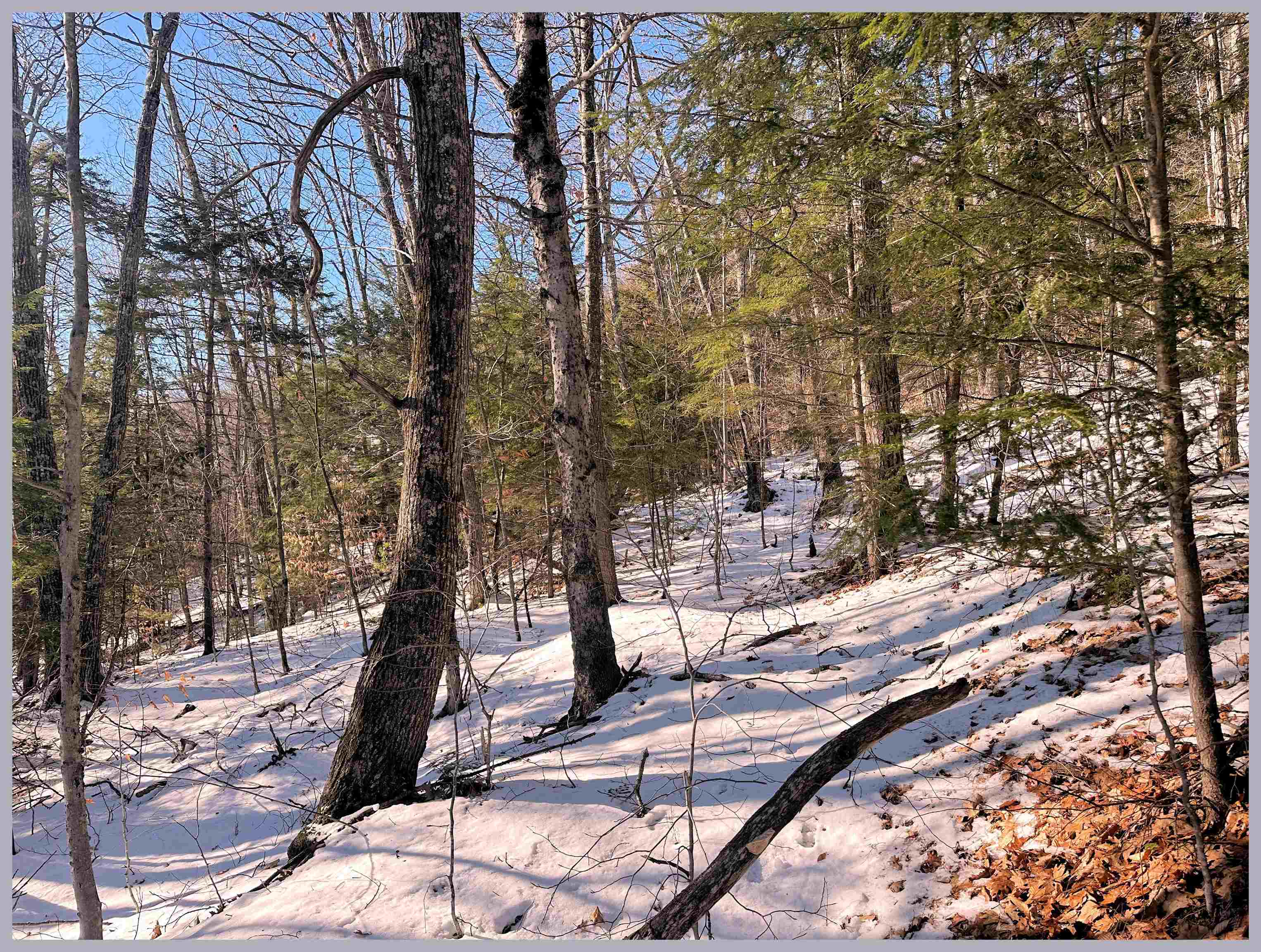 Lot 30 Bell Valley Road Campton, NH 03223 - Photo 29 of 29