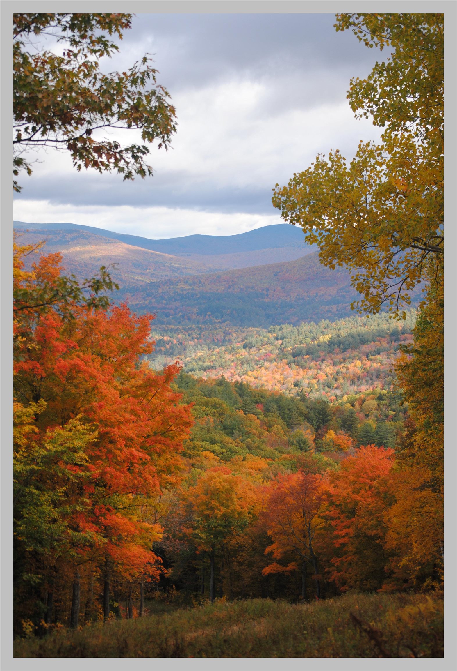 Lot 30 Bell Valley Road Campton, NH 03223 - Photo 7 of 29