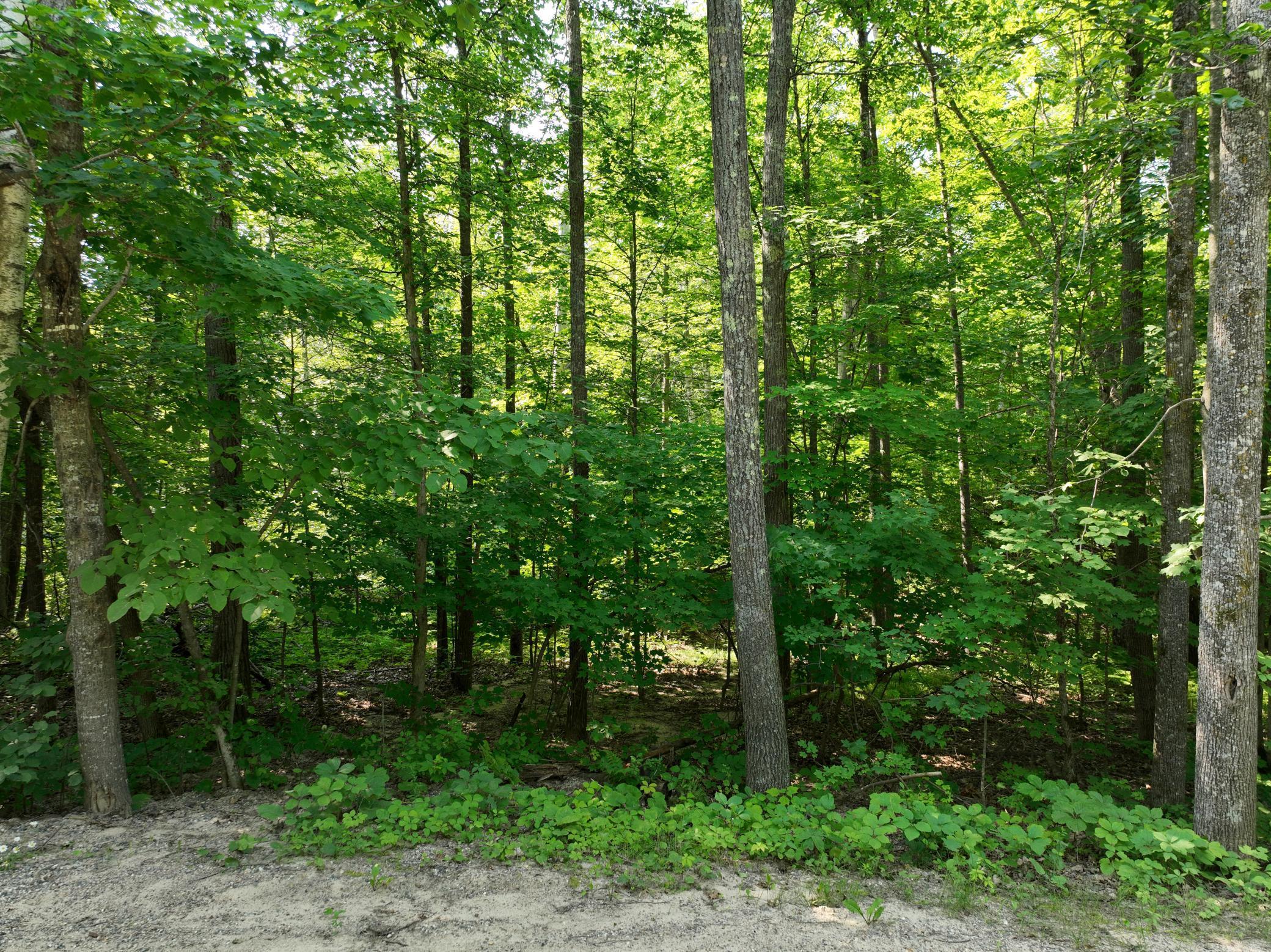 Tbd Hillerman Road Northwest Hackensack, MN 56452 - Photo 5 of 11