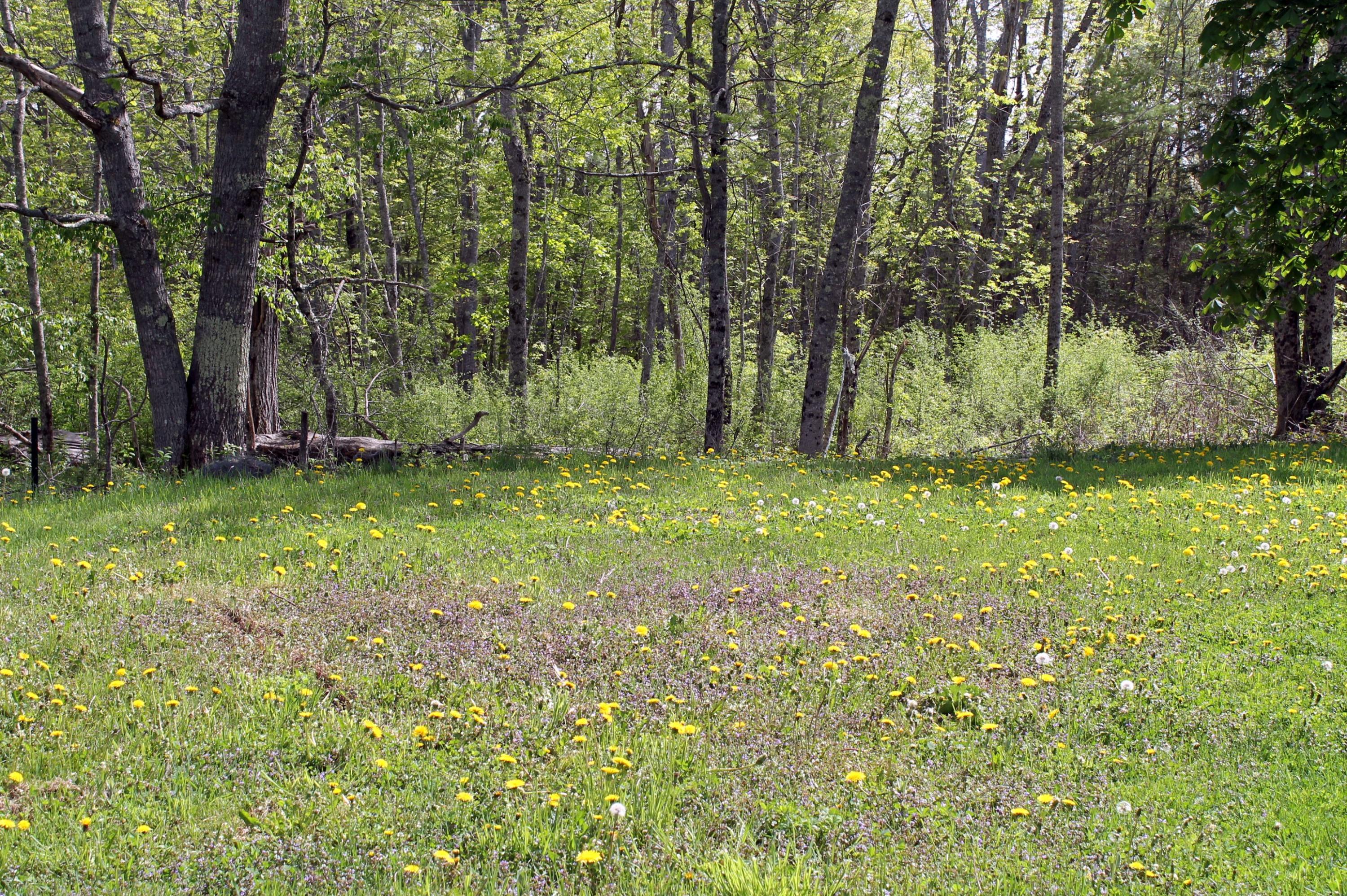 751 Silver Lake Road Bucksport, ME 04416 - Photo 24 of 26 FieldandWoods