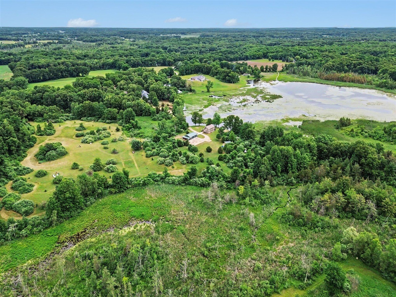 15303 Seymour Road Grass Lake, MI 49240 - Photo 49 of 98