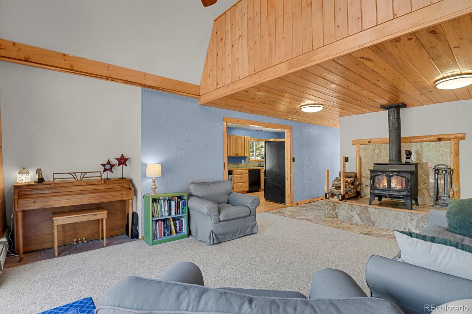 881 Trail Creek Road Lake George, CO 80827 - Photo 11 of 46