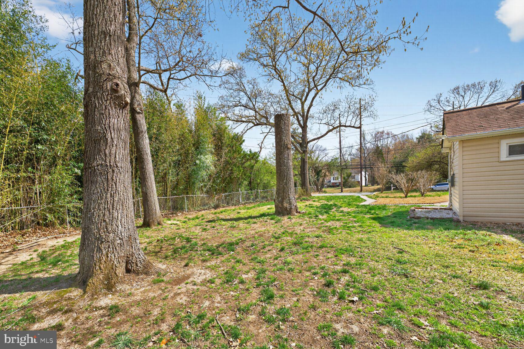 9329 Allentown Road Fort Washington, MD 20744 - Photo 14 of 14 Green landscape