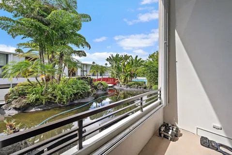 a view of a potted plant on a counter