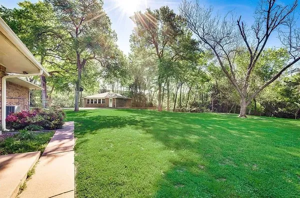 a view of a yard with plants and trees