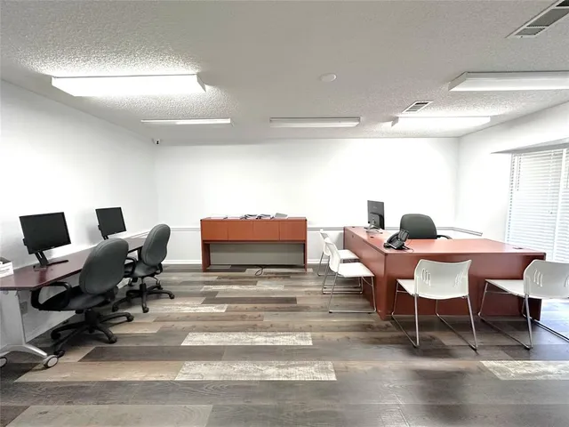 a living room with furniture a rug and a potted plant