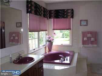 824 Fries Mill Road Franklinville, NJ 08322 - Photo 11 of 12 Bathroom