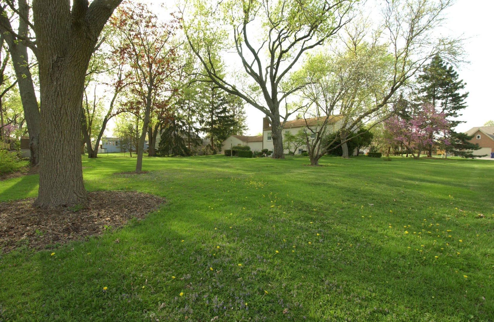 27W111 Knoch Knolls Road Naperville, IL 60565 - Photo 1 of 21