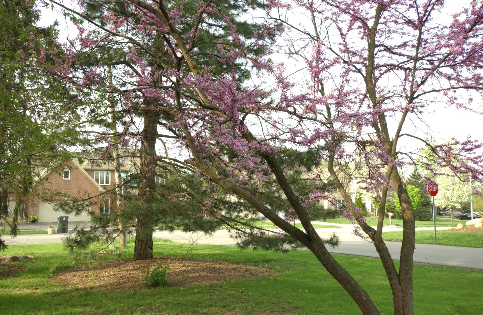 27W111 Knoch Knolls Road Naperville, IL 60565 - Photo 14 of 21