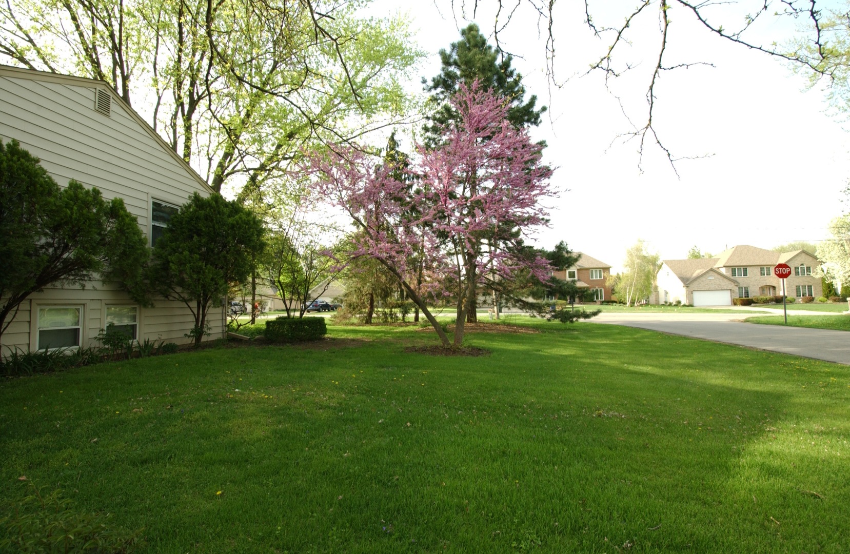 27W111 Knoch Knolls Road Naperville, IL 60565 - Photo 16 of 21