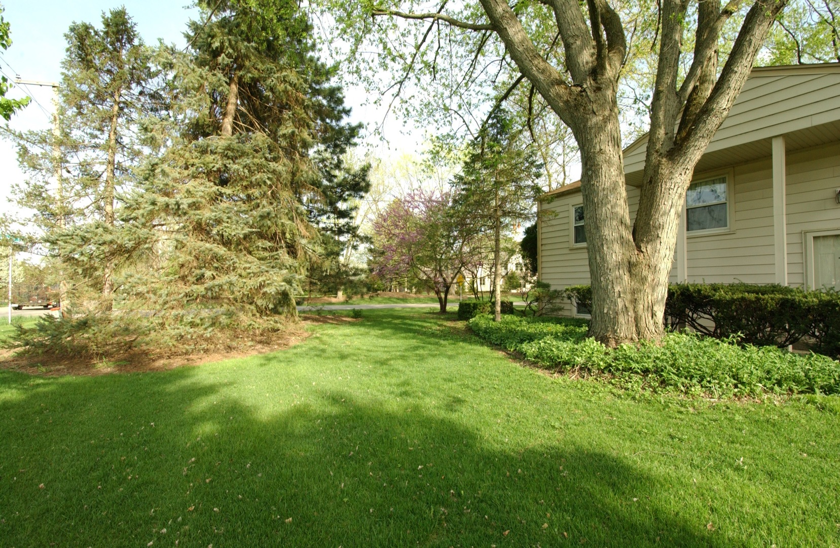 27W111 Knoch Knolls Road Naperville, IL 60565 - Photo 21 of 21