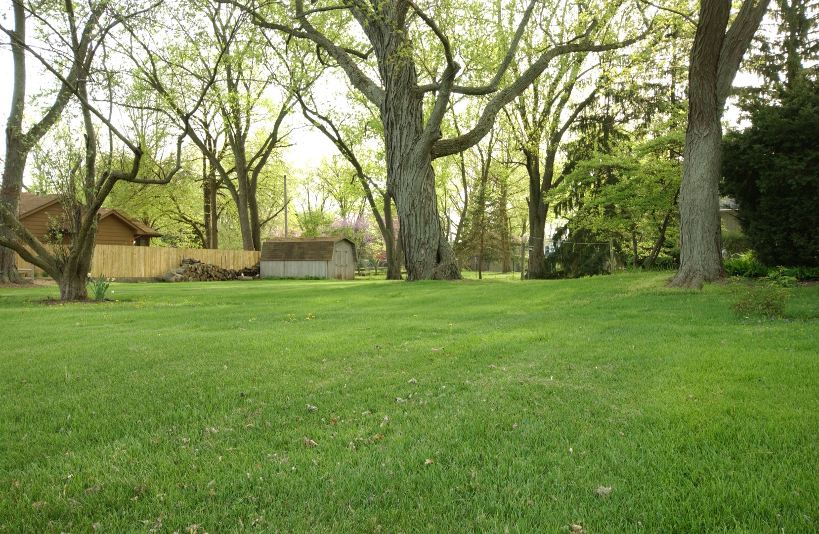 27W111 Knoch Knolls Road Naperville, IL 60565 - Photo 6 of 21