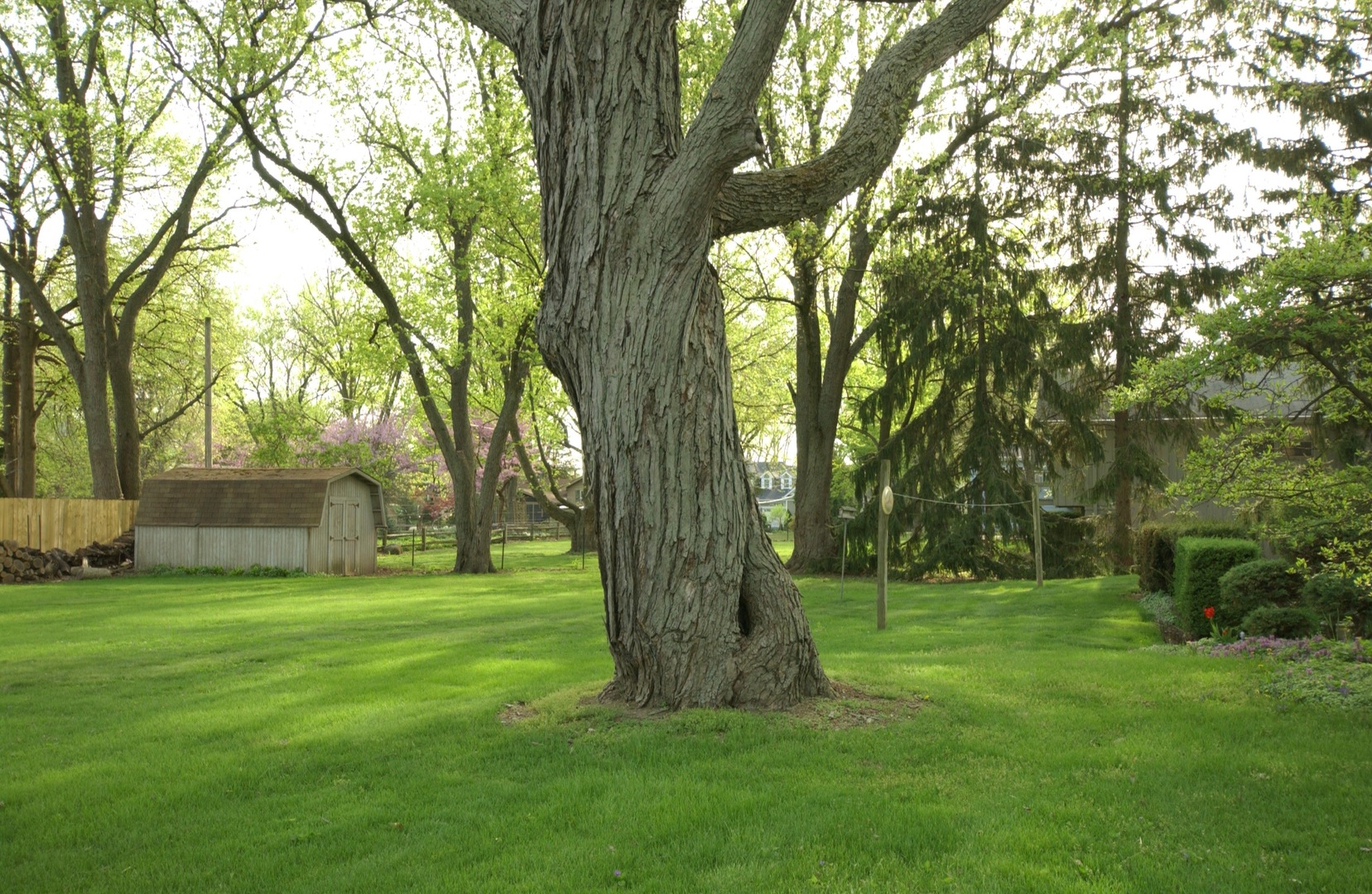 27W111 Knoch Knolls Road Naperville, IL 60565 - Photo 7 of 21