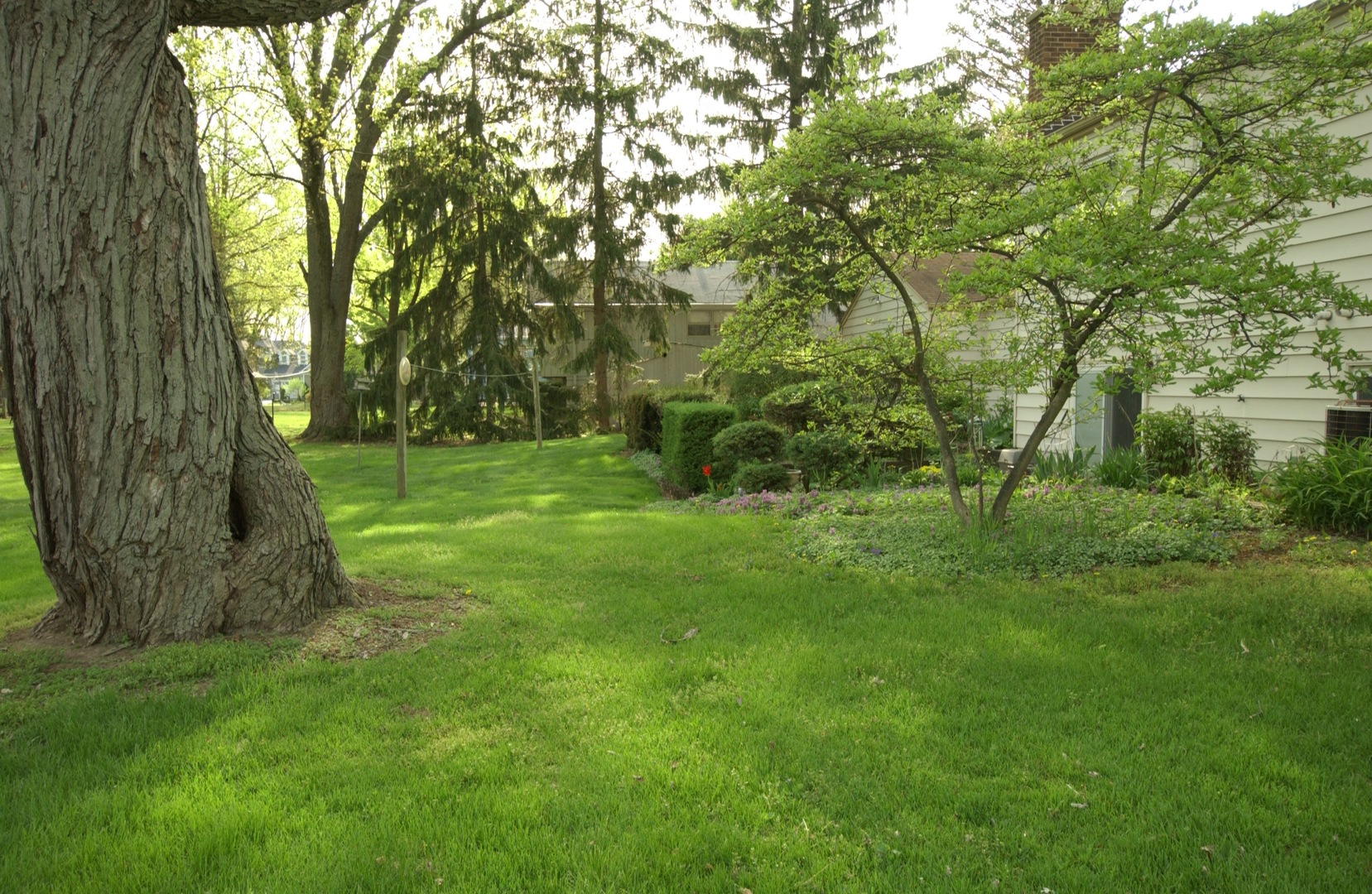 27W111 Knoch Knolls Road Naperville, IL 60565 - Photo 8 of 21