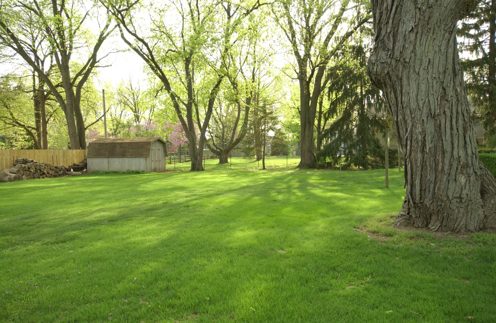 27W111 Knoch Knolls Road Naperville, IL 60565 - Photo 10 of 21