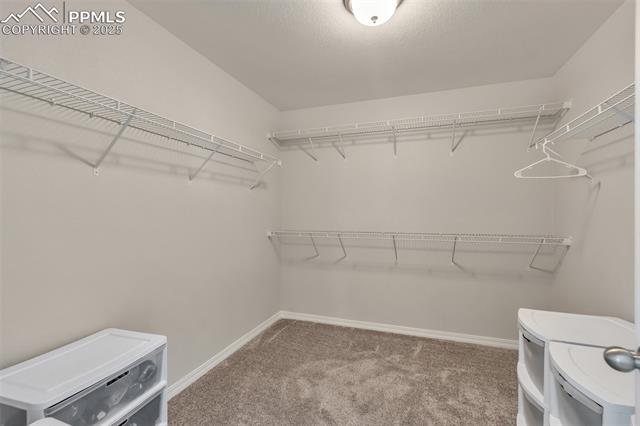 11053 Avena Road Peyton, CO 80831 - Photo 20 of 27 Walk in closet featuring carpet